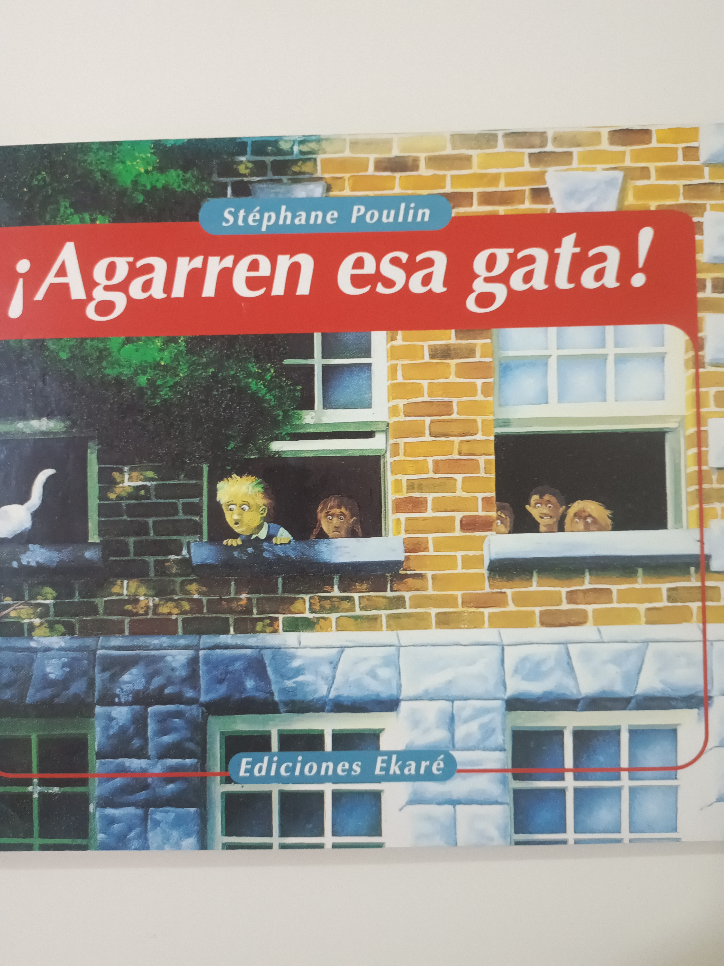 Portada de ¡Agarren esa gata!