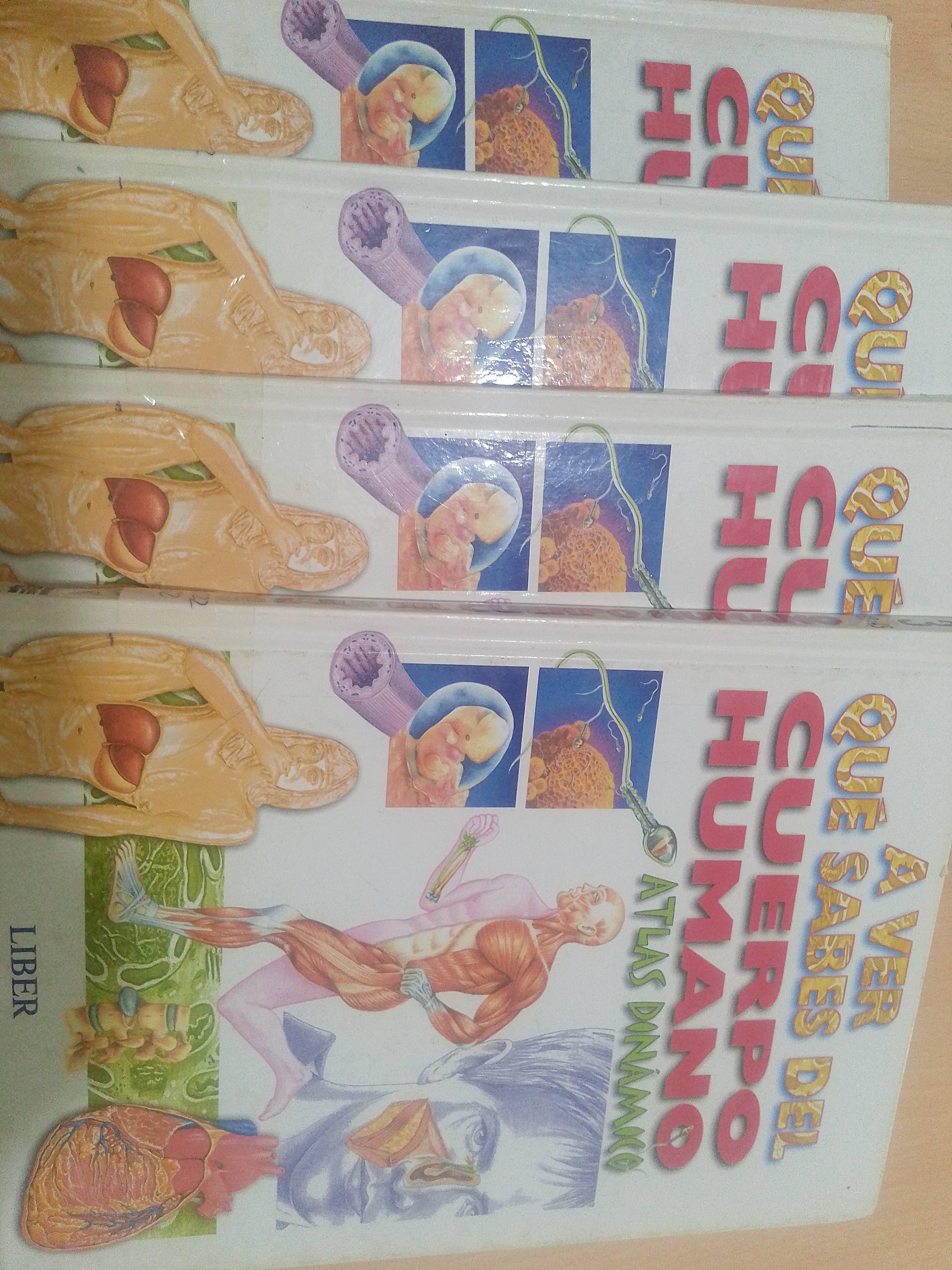 Portada de A ver que sabes del cuerpo humano. Atlas dinámico (4 libros, Volumen 1,2,3,4)