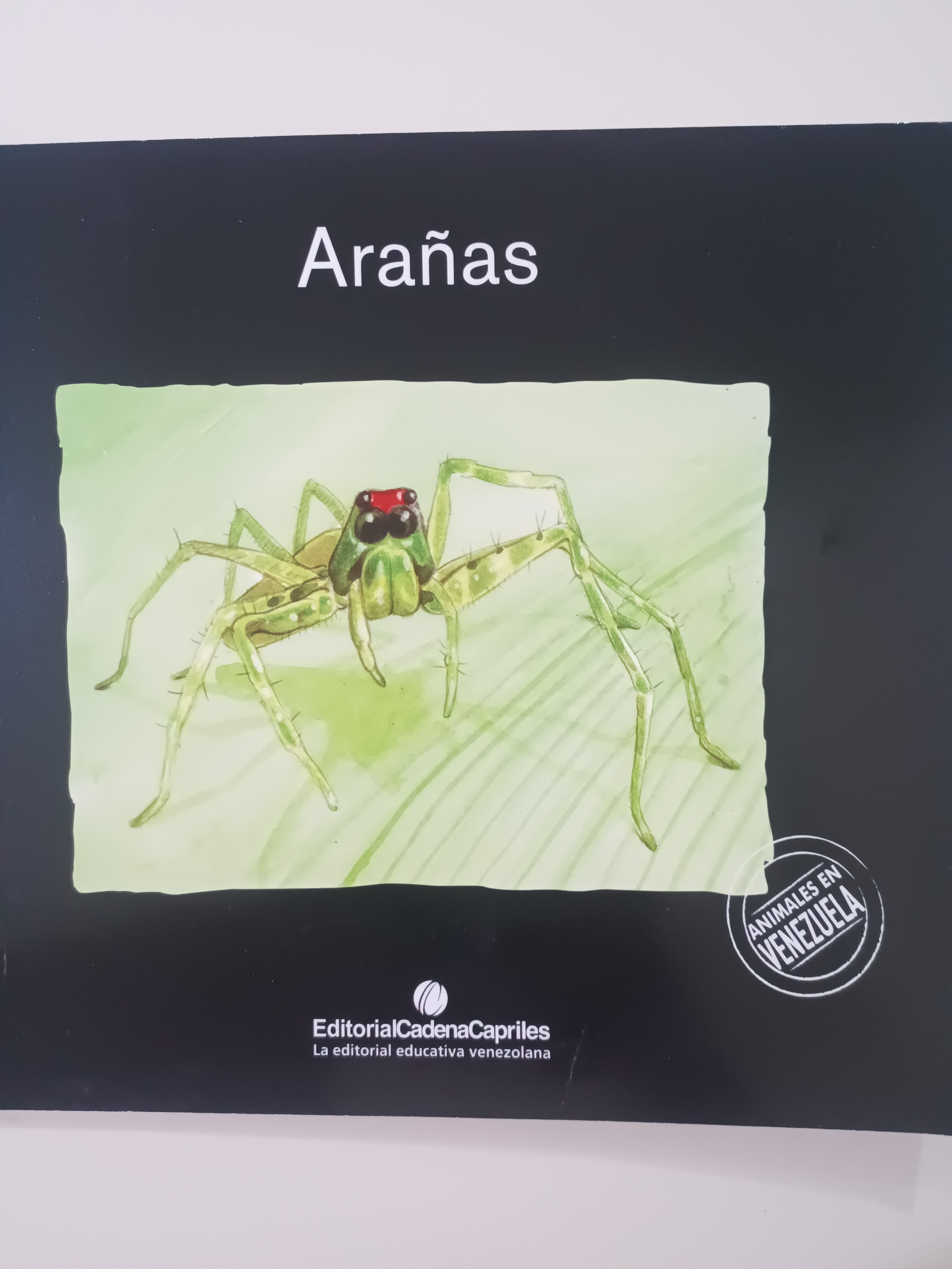 Portada de Arañas