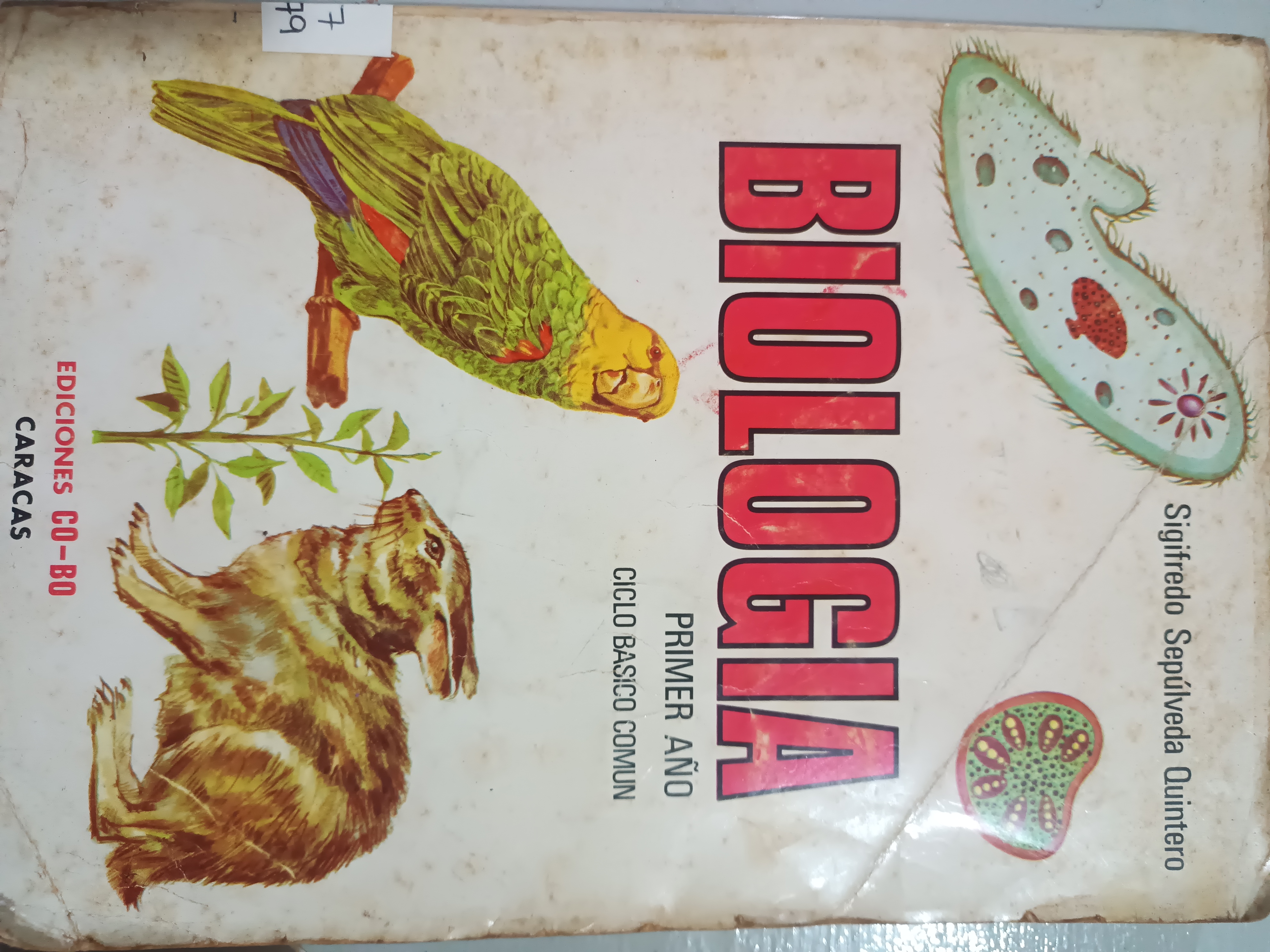 Portada de Biología Primer Año (Ciclo básico común)