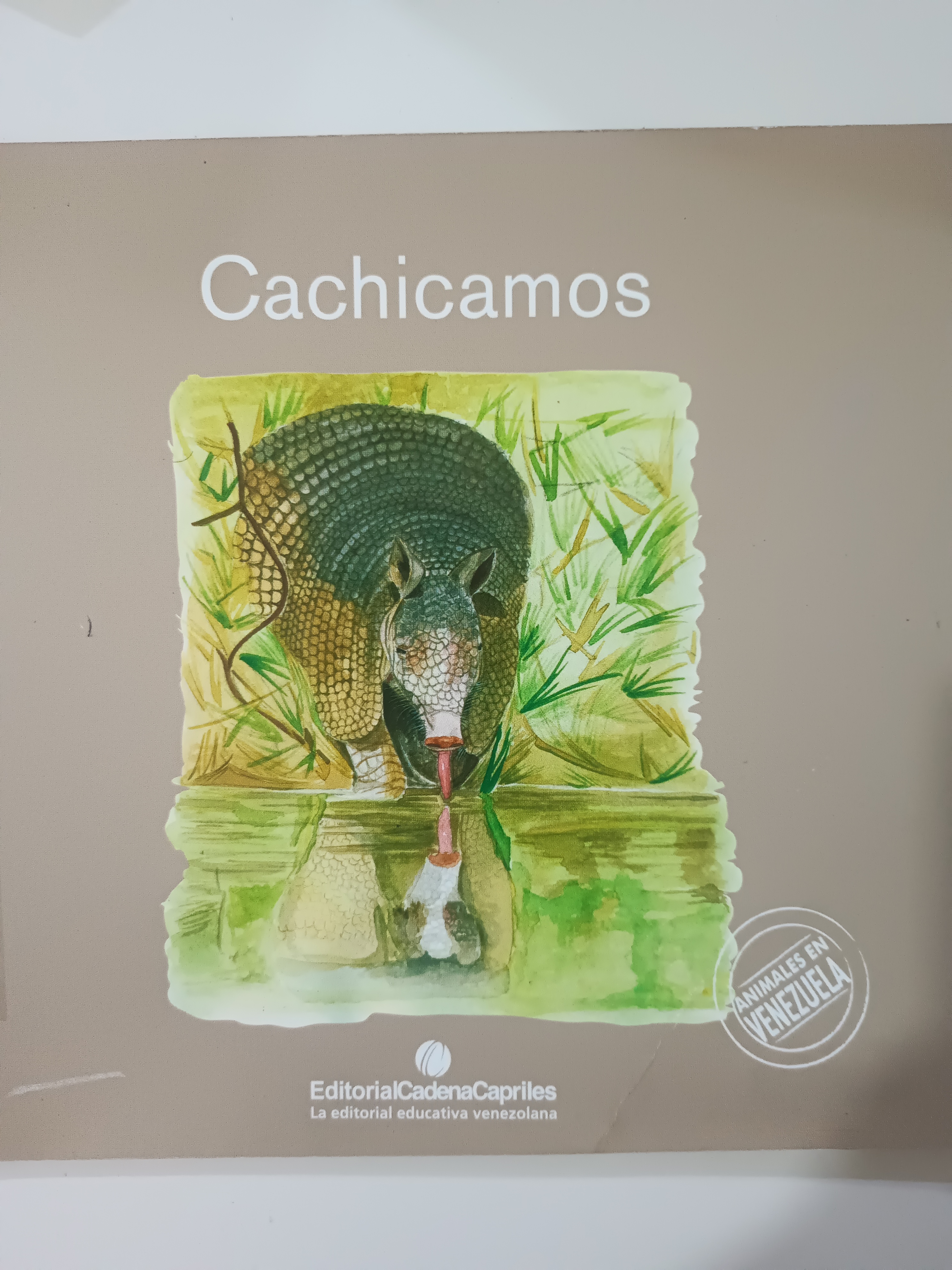 Portada de Cachicamos