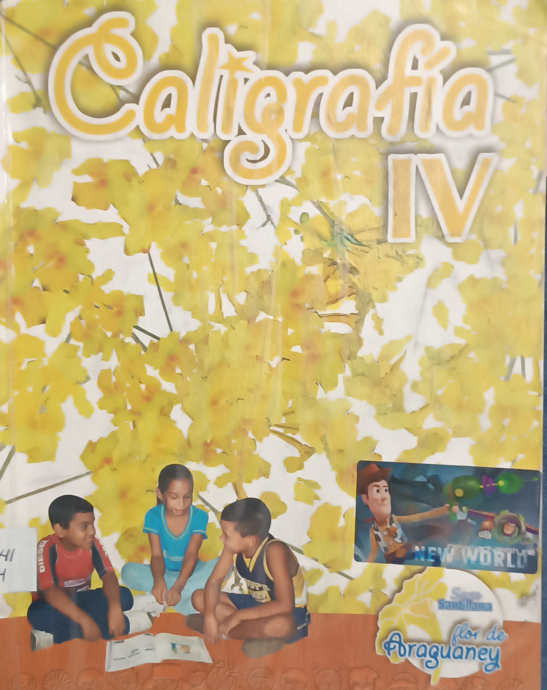 Portada de Caligrafía IV