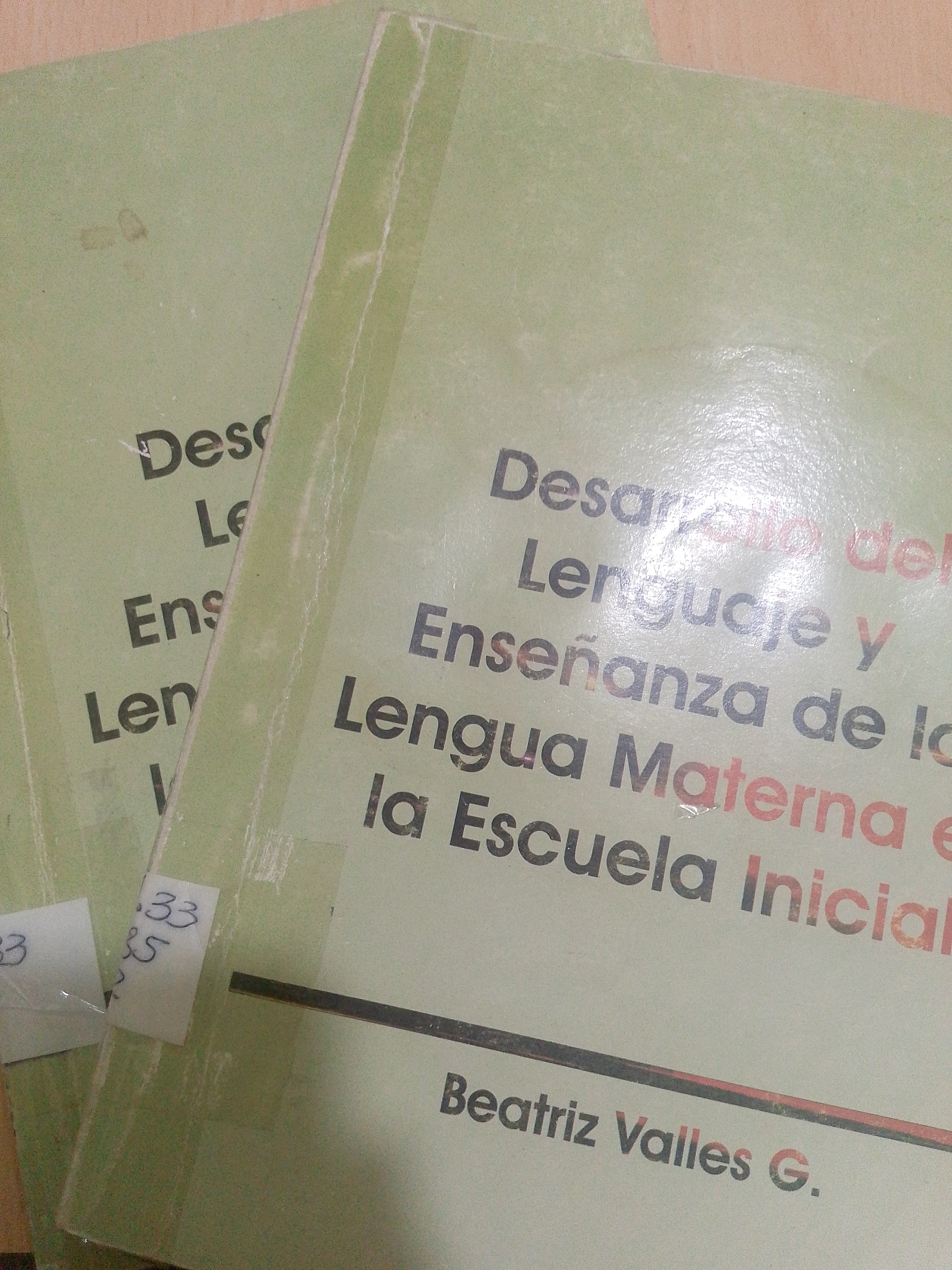 Portada de Desarrollo del lenguaje y enseñanza de la lengua materna en la escuela inicial