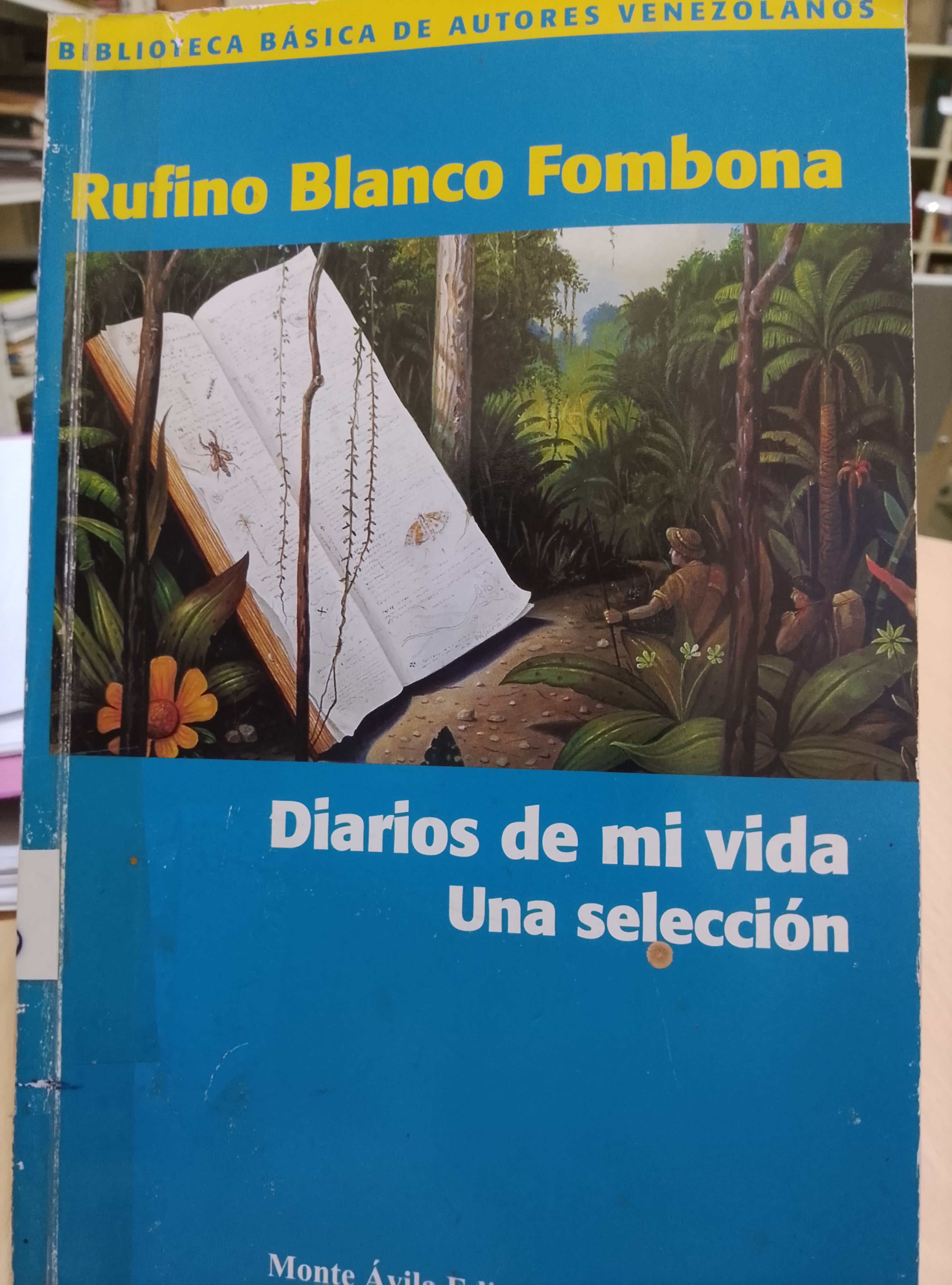 Portada de Diarios de mi vida (una selección)