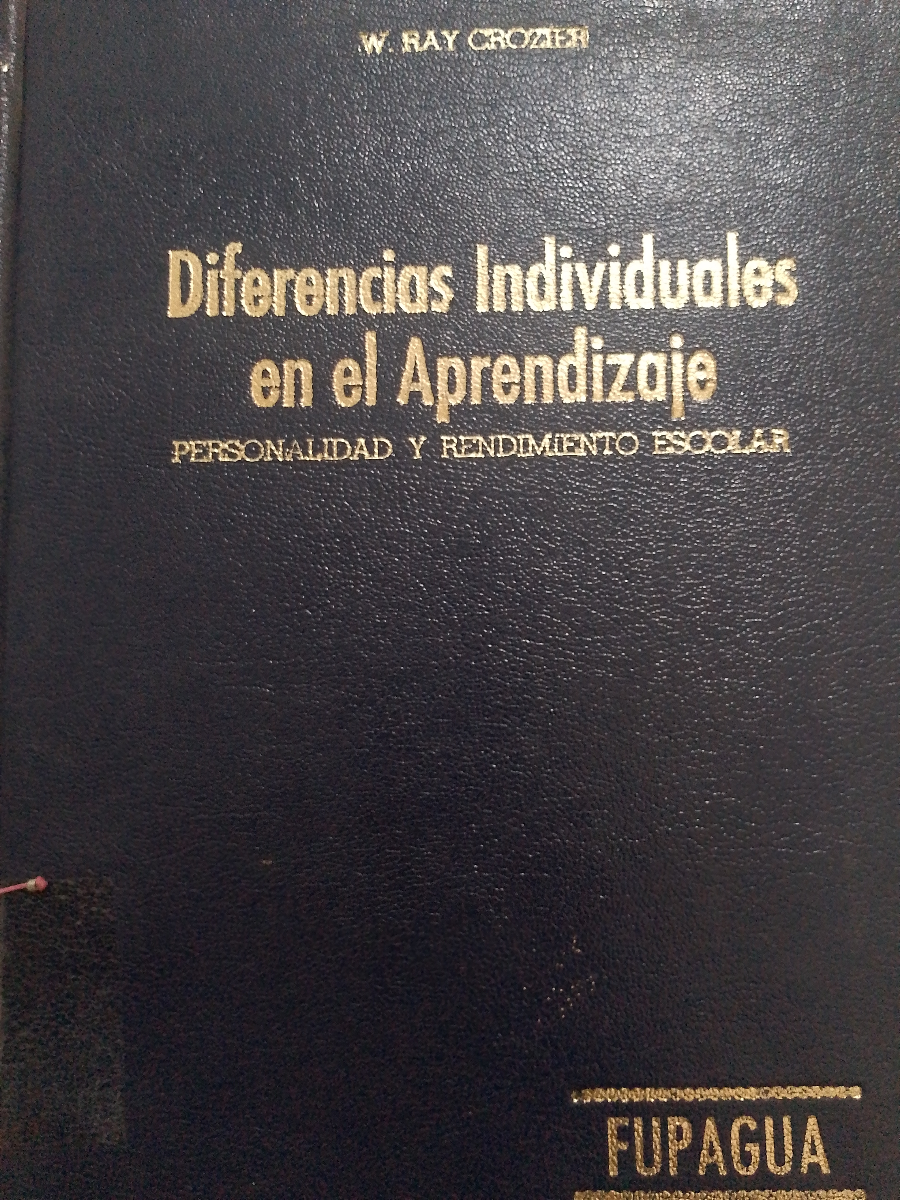 Portada de Diferencias individuales en el aprendizaje.  Personalidad y rendimiento escolar