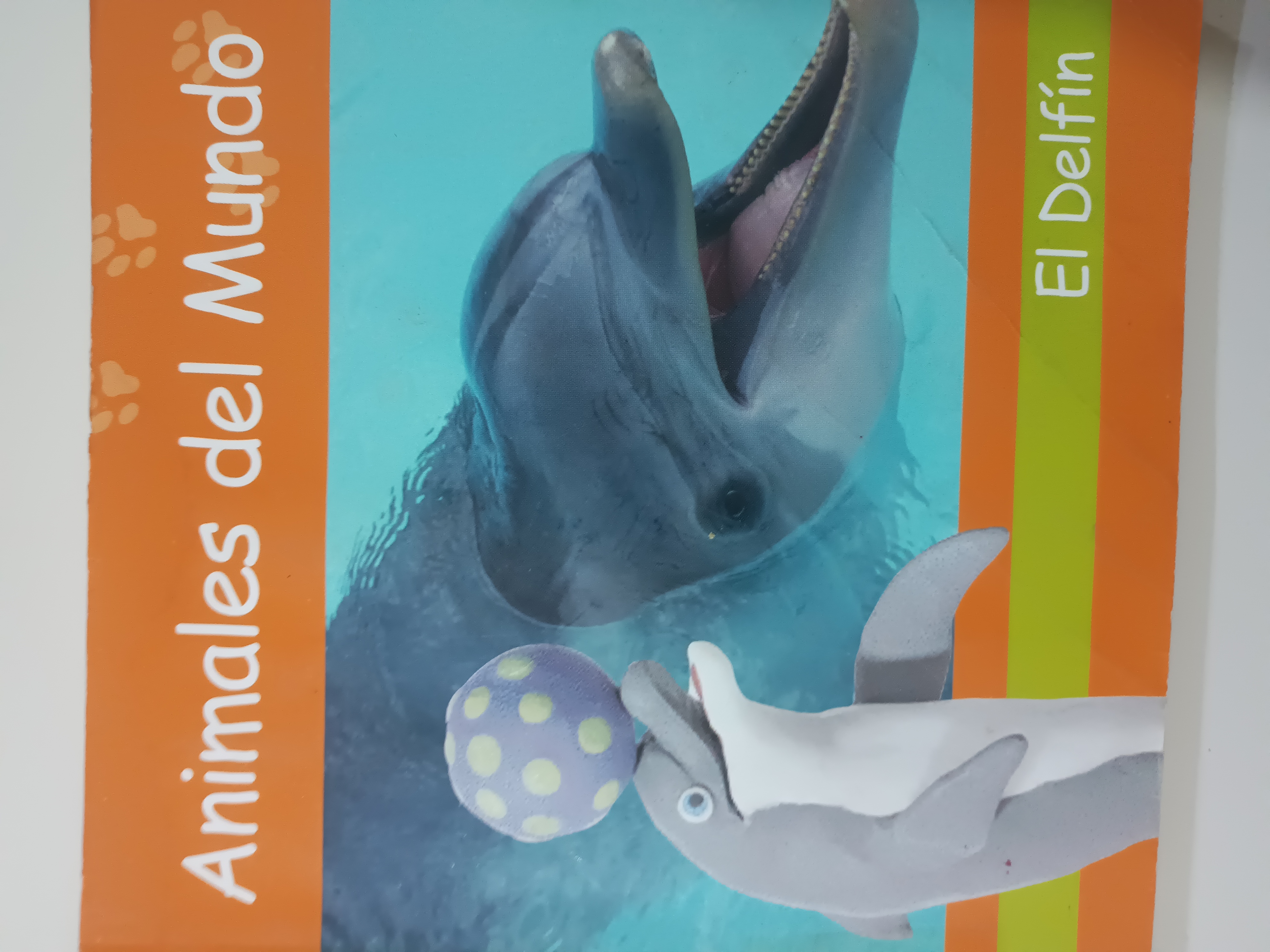 Portada de El delfin