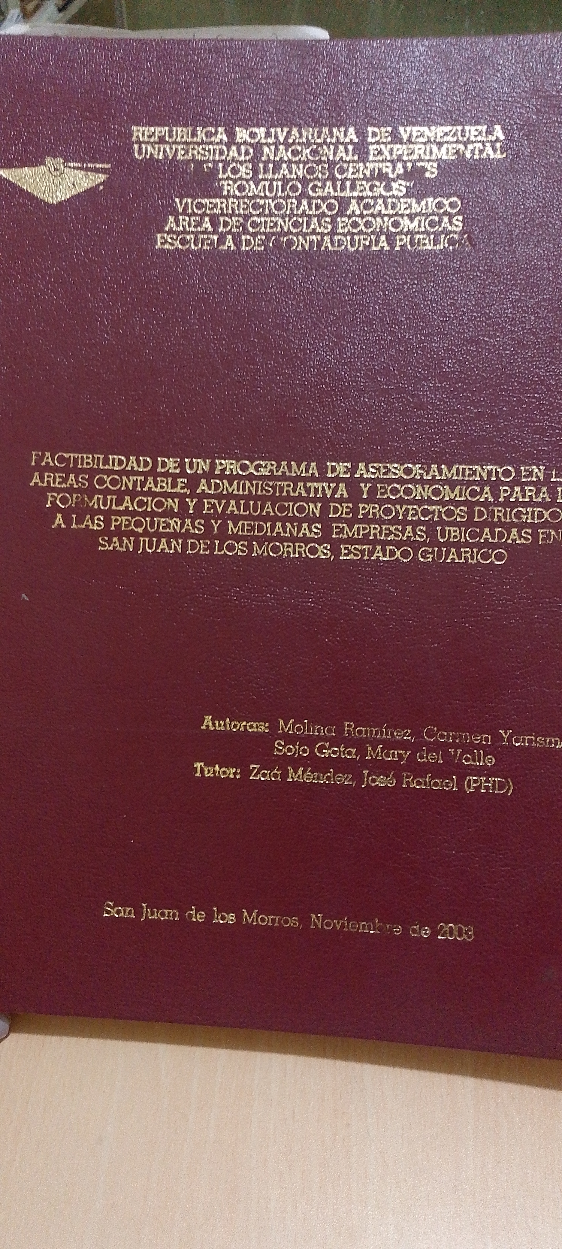 Portada de Factibilidad de un programa de asesoramiento en las áreas contables, administrativa y económica para la formulación y evaluación de proyectos dirigidos a las pequeñas y medianas empresas ubicadas en San Juan de los Morros, Estado Guárico