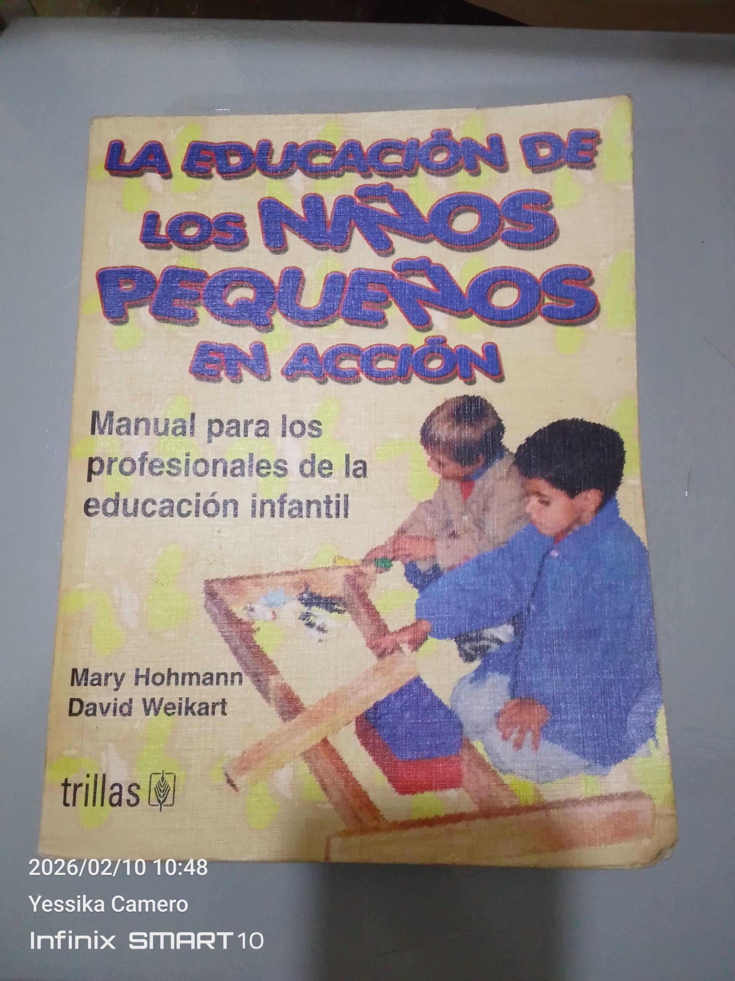 Portada de La eduación de los niños pequeños en acción. Manual para los profesionales de la educación infantil