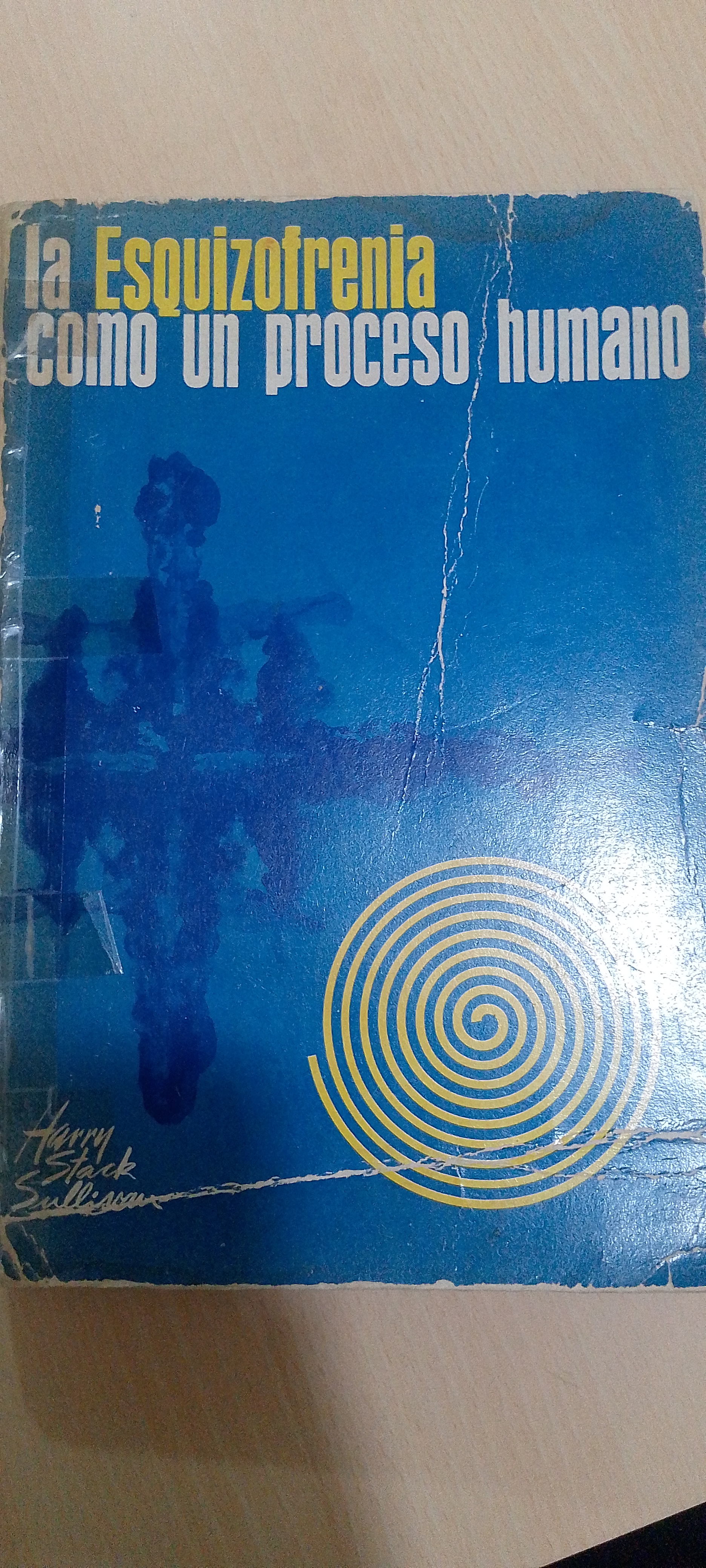 Portada de La esquizofrenia como un proceso humano