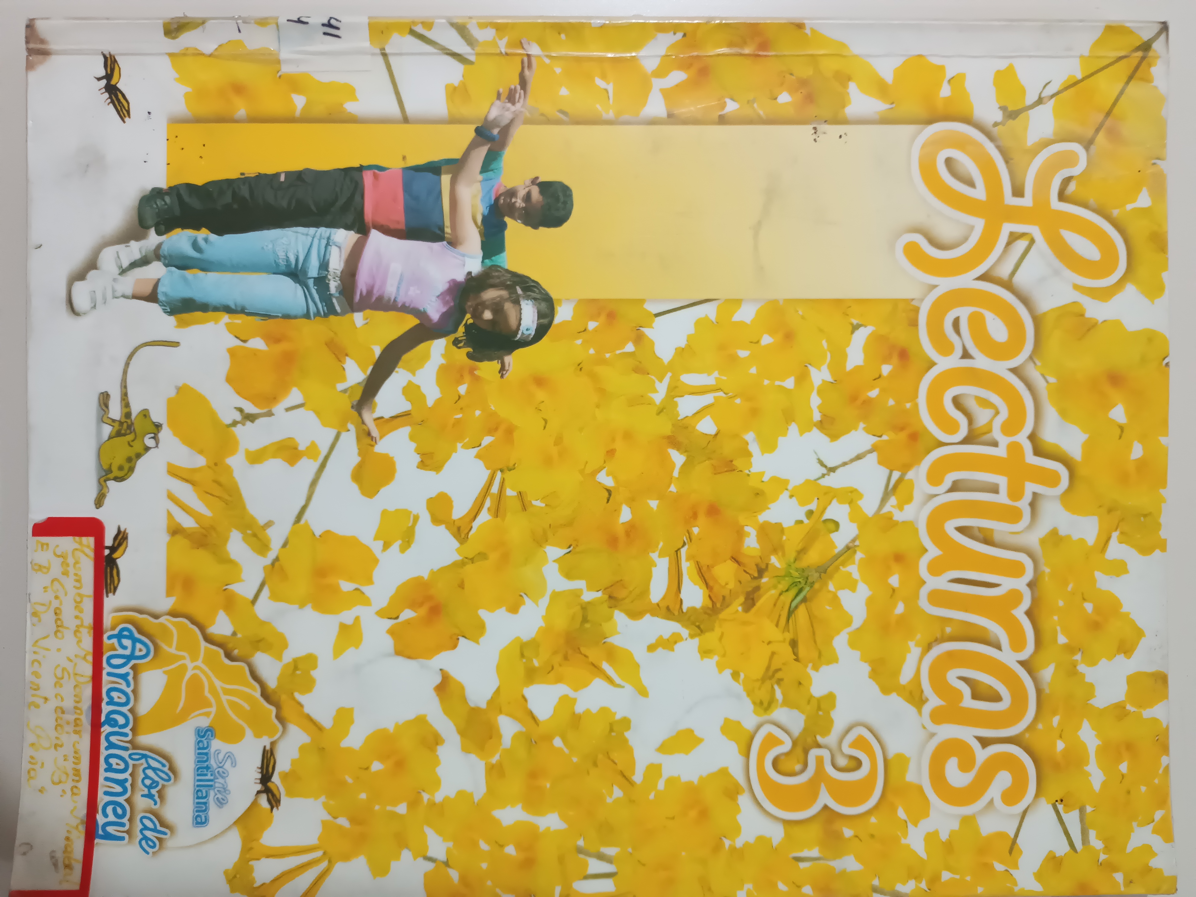 Portada de Lecturas 3 Serie Santillana Flor de Araguaney