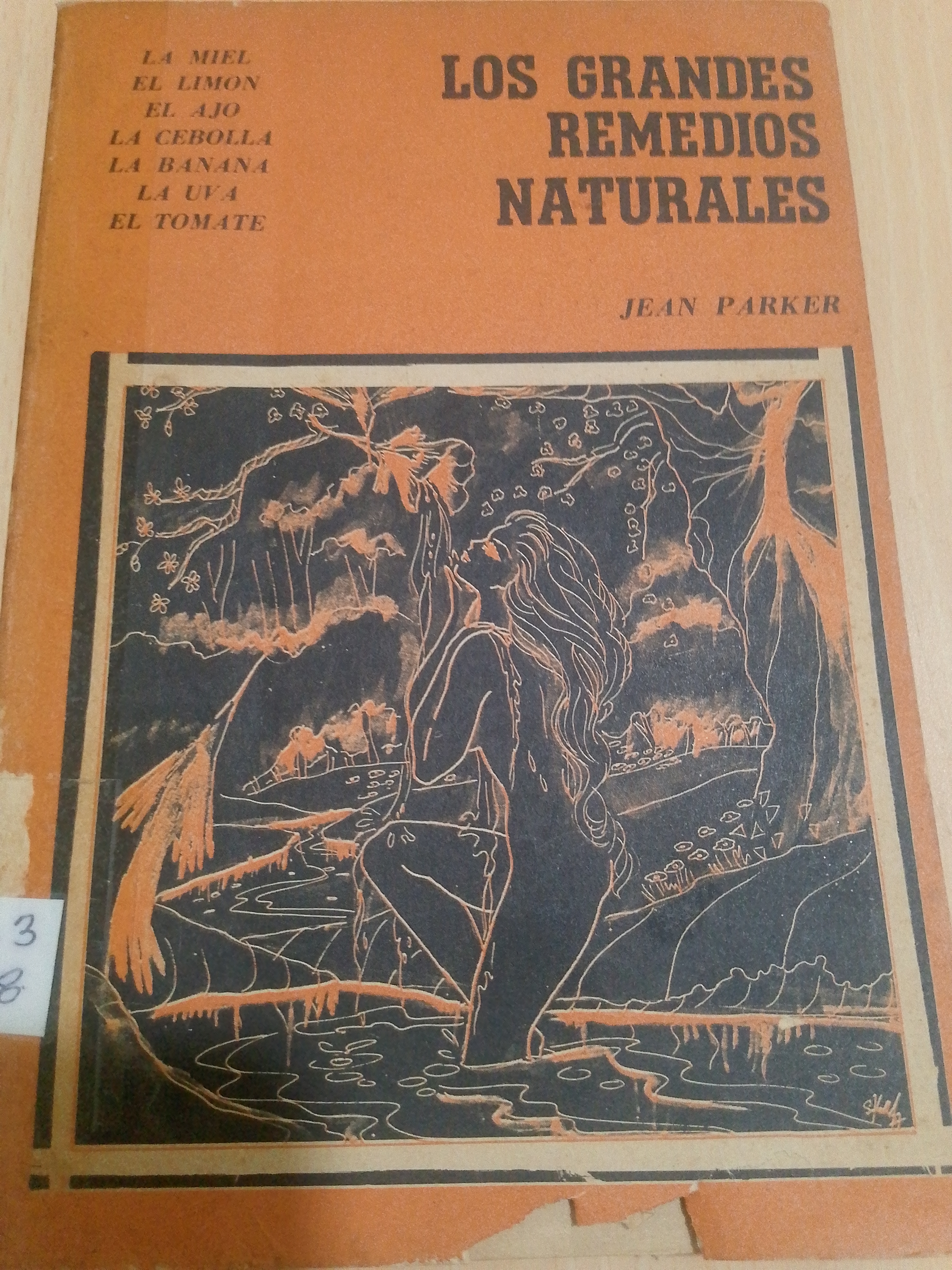 Portada de Los grandes remedios naturales.  El ajo, la banana, la cebolla, el limón, la miel, el tomate y la uva