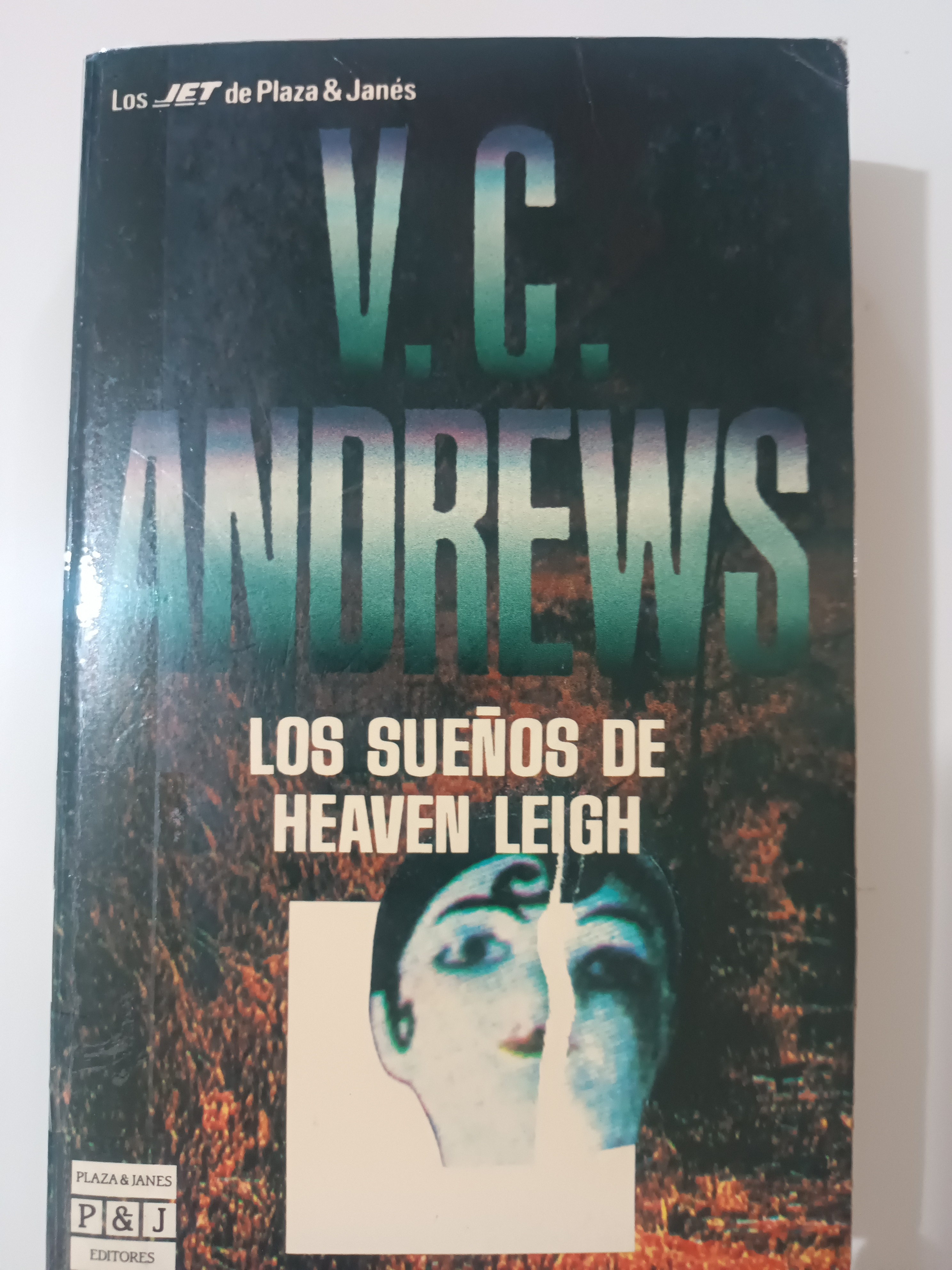 Portada de Los sueños de Heaven Leigh