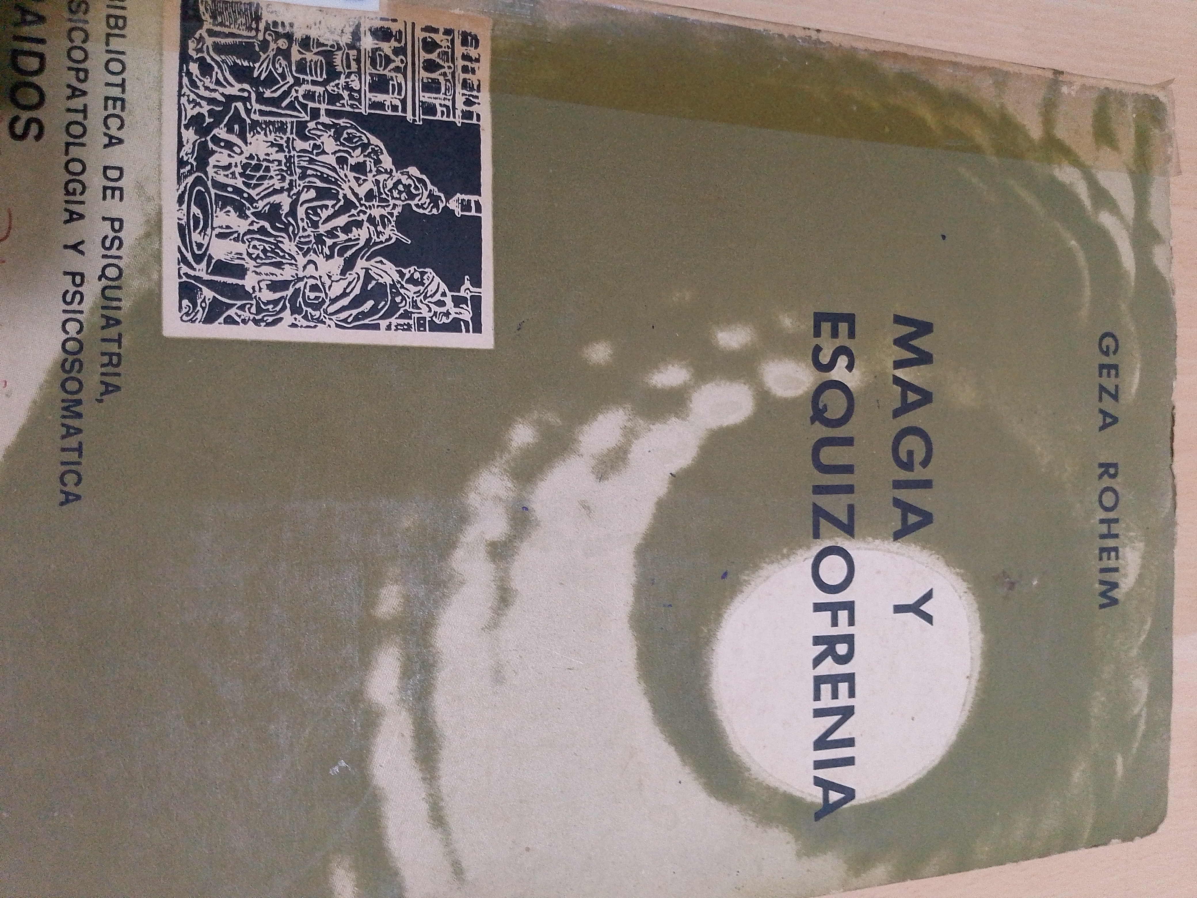 Portada de Magia y esquizofrenia