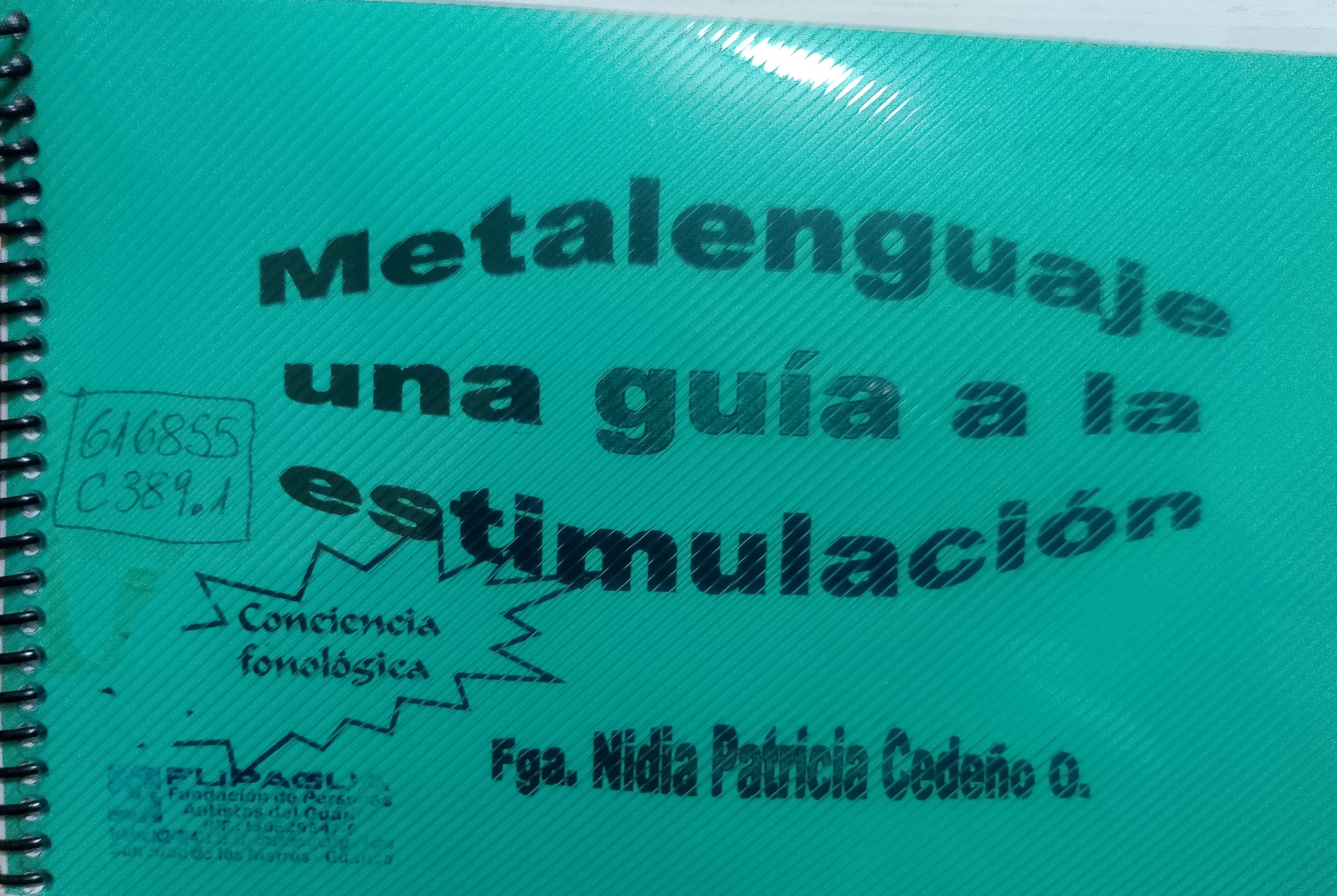 Portada de Metalenguaje una guía a la estimulación. 