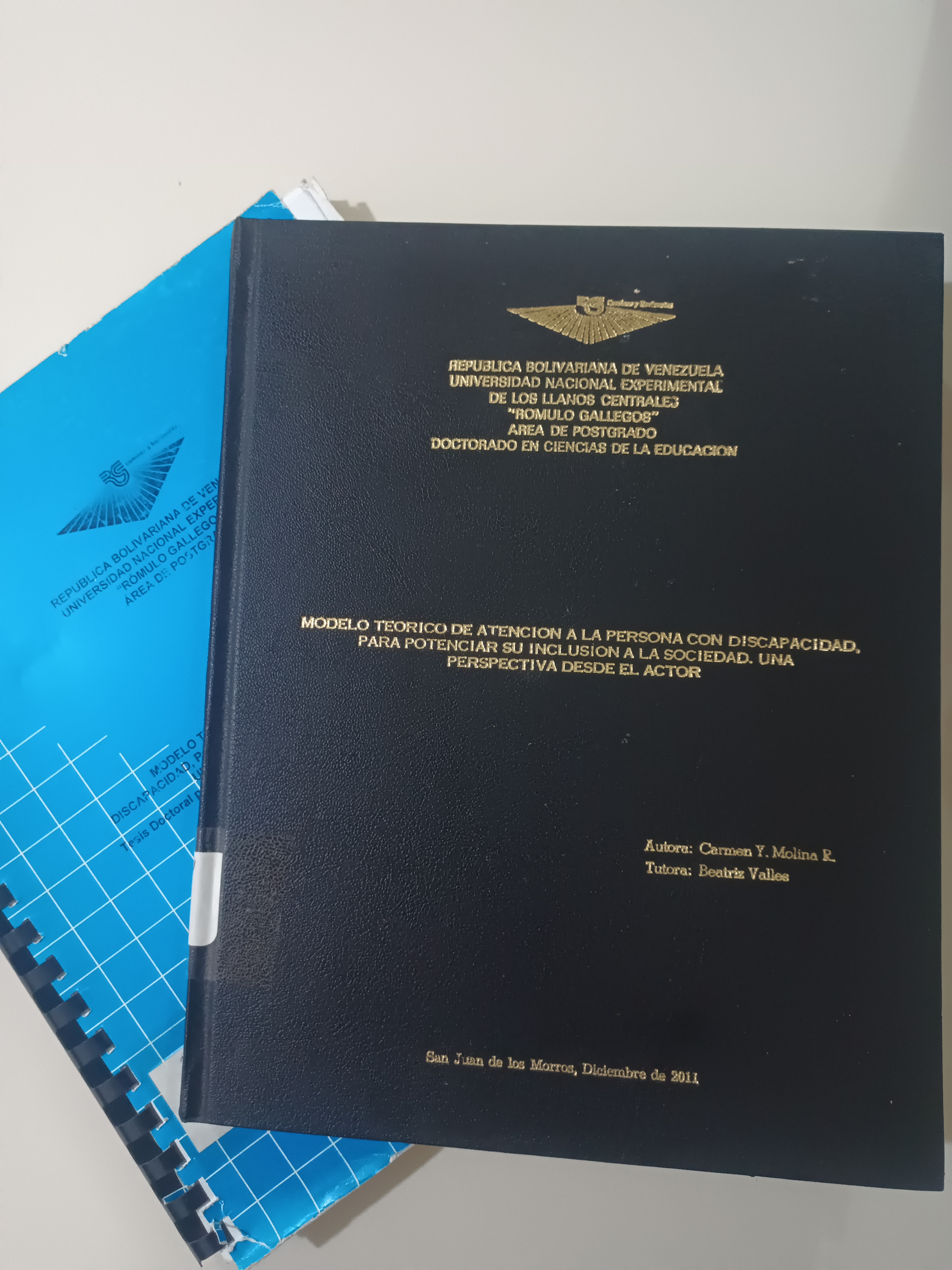 Portada de Modelo Teórico de Atención a la Persona con Discapacidad, para Potenciar su Inclusión en la Sociedad.  Una Perspectiva desde el Actor