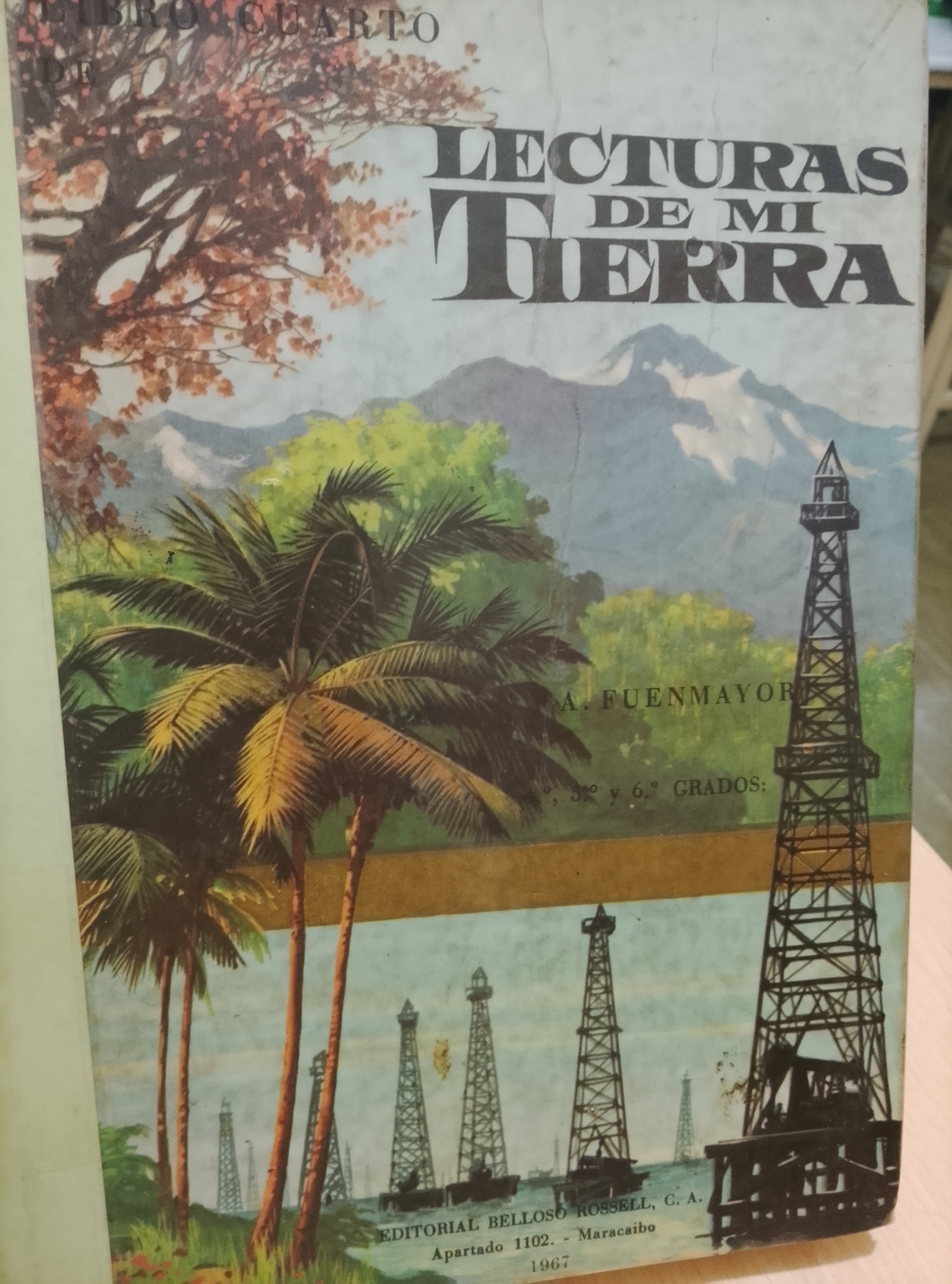 Portada de Novisimo libro cuarto de lectura de mi tierra