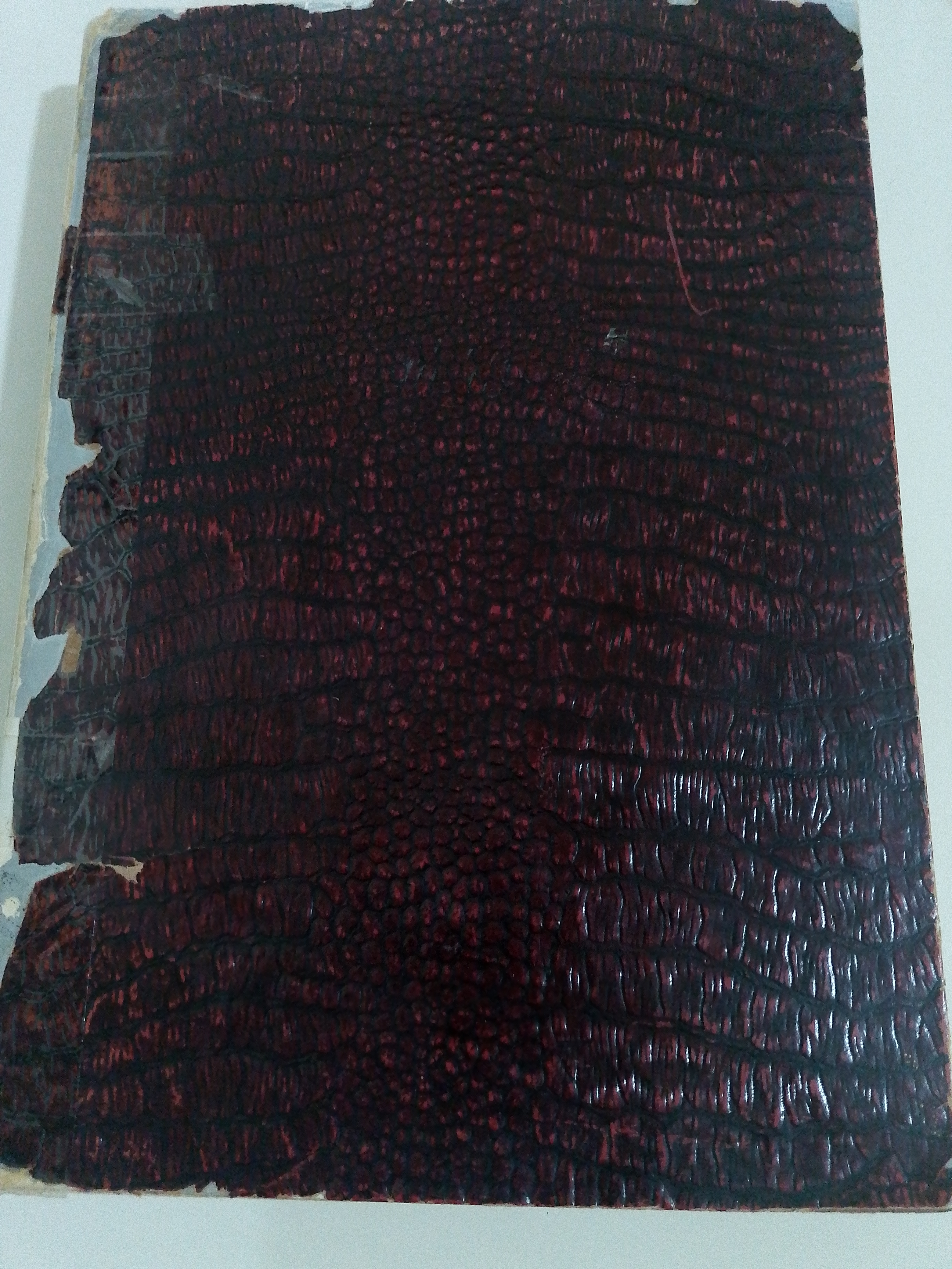 Portada de Psicología del lenguaje