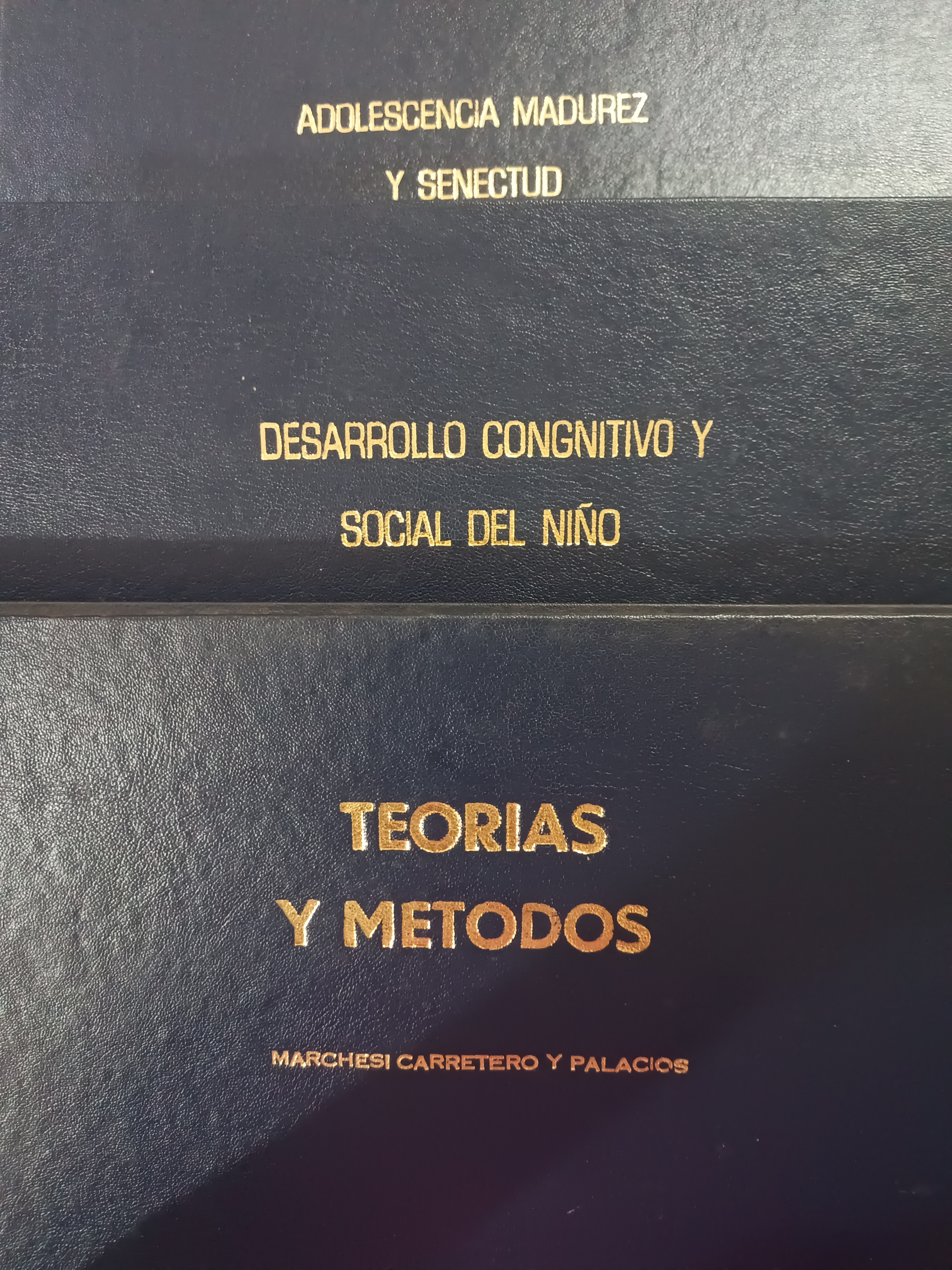 Portada de Psicología evolutiva.                                                                                        3 tomos