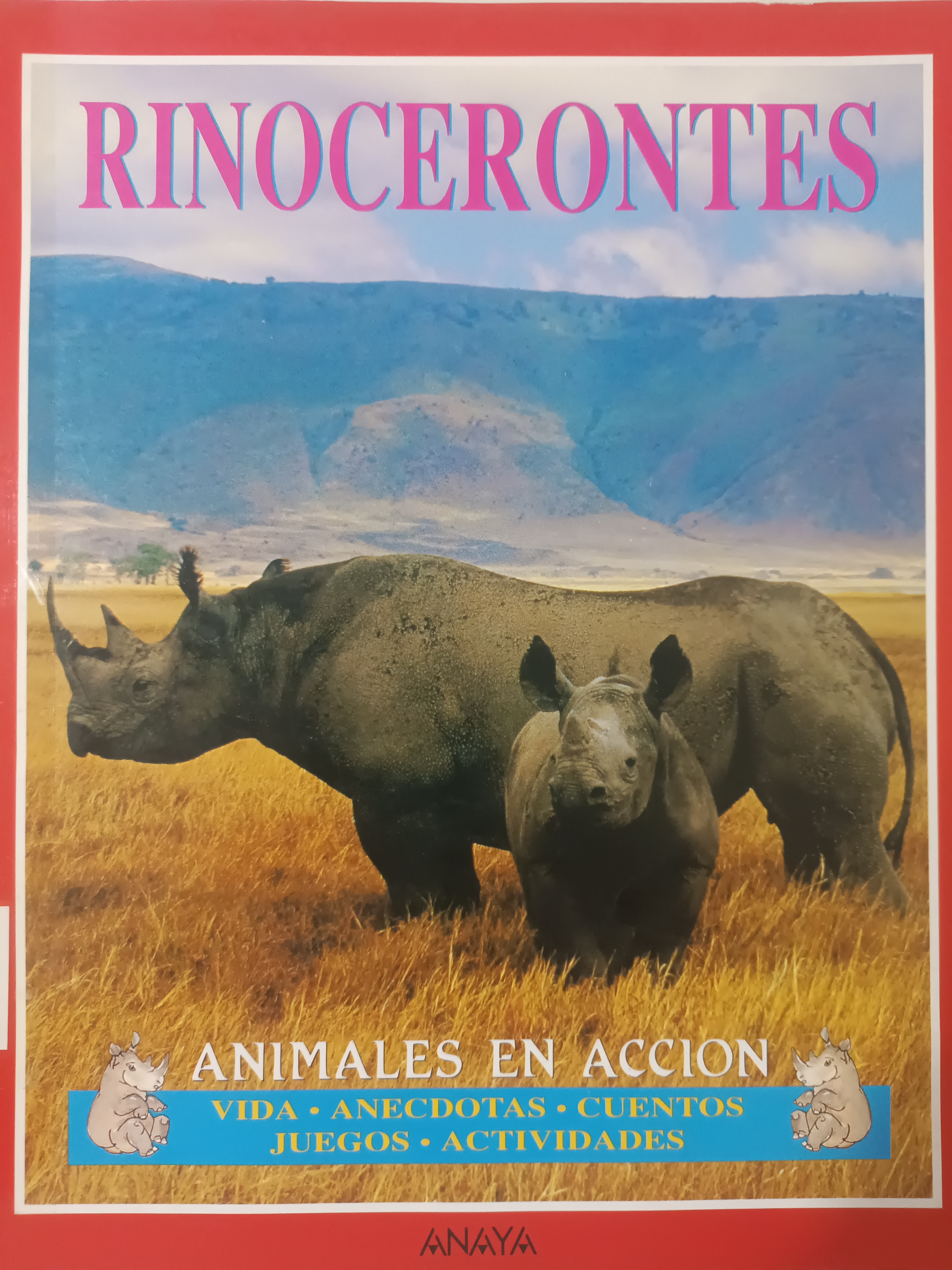 Portada de Rinocerontes