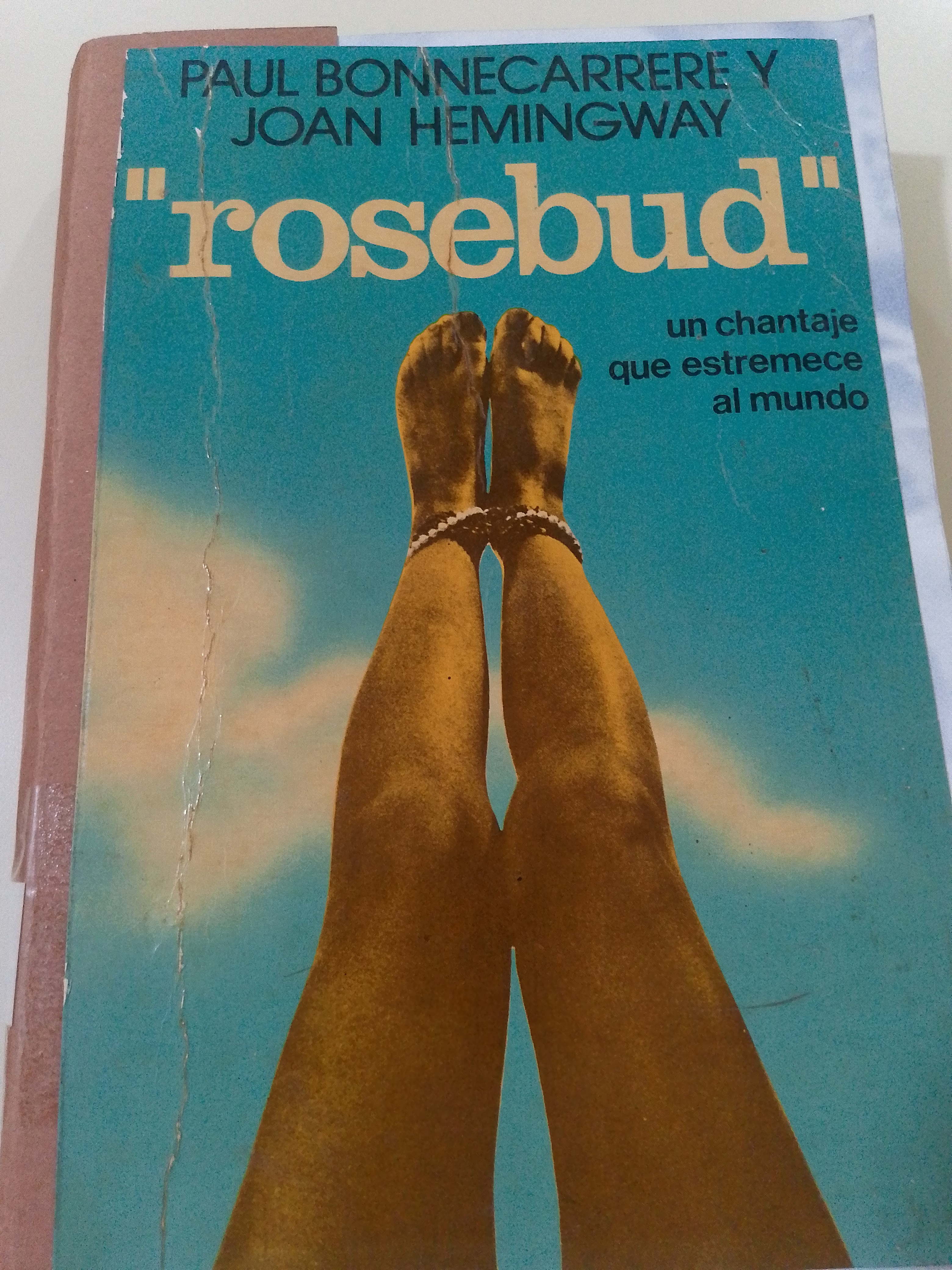 Portada de Rosebud