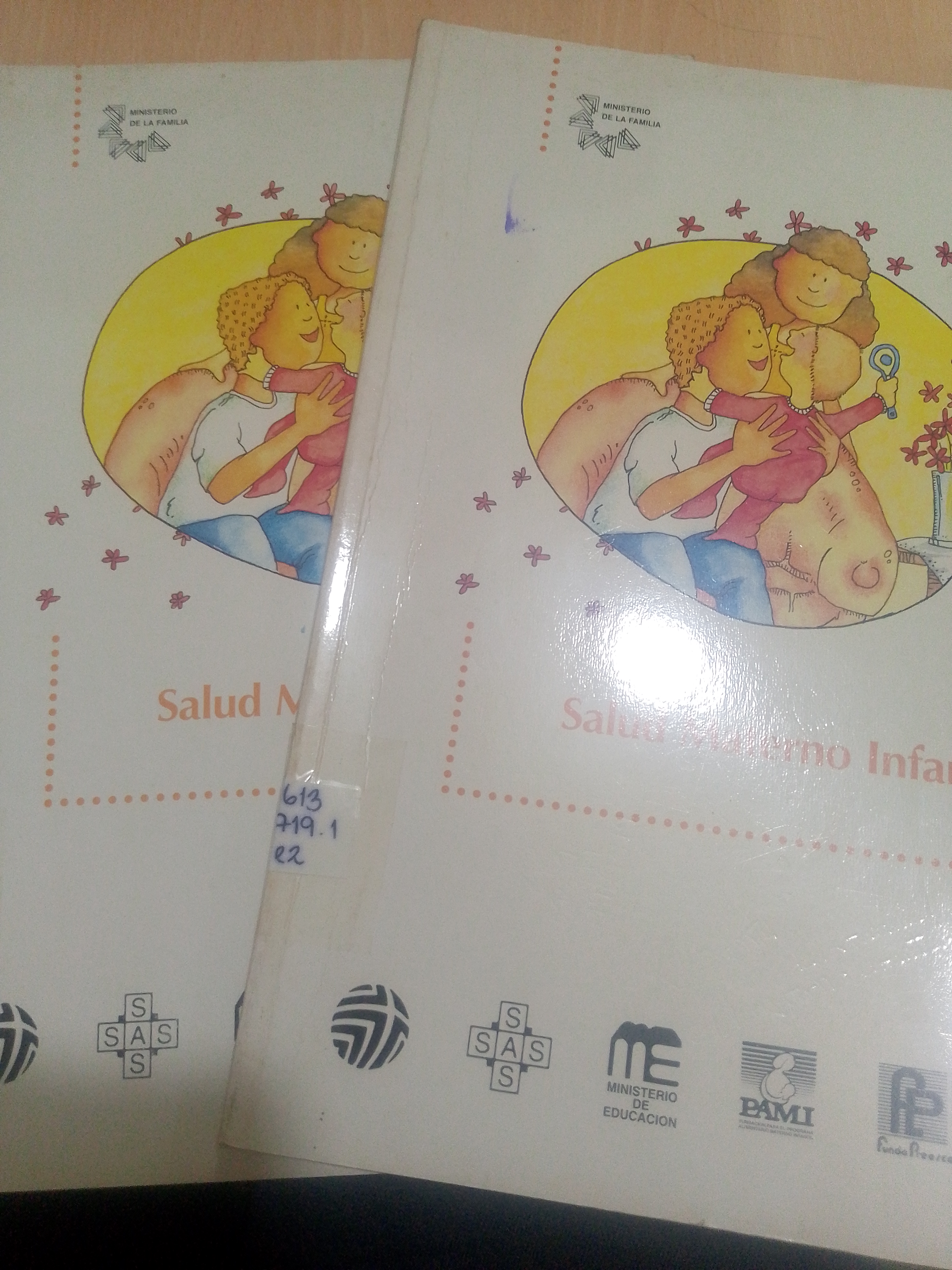 Portada de Salud materno infantil